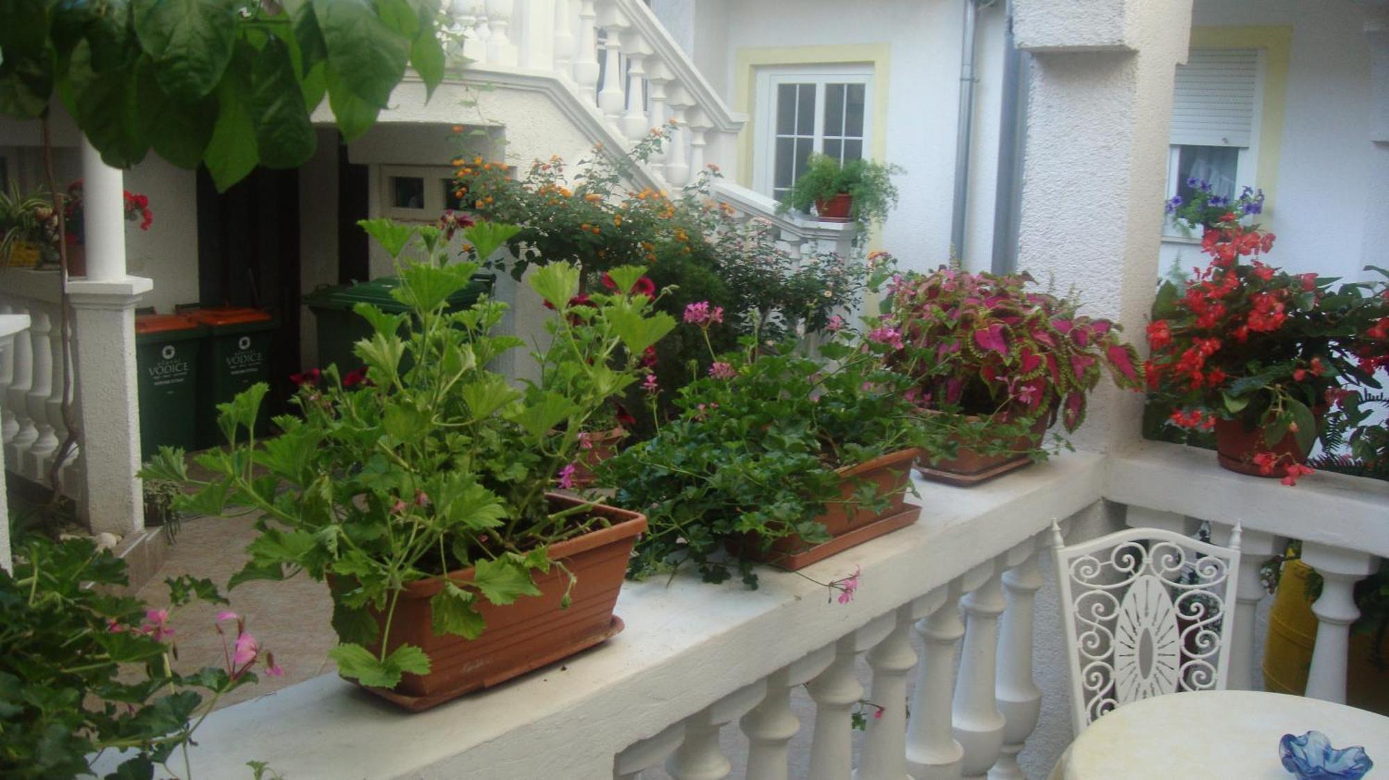 Apartments Vodice Marica الغرفة الصورة